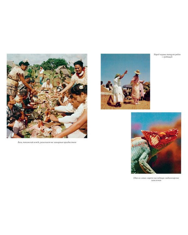 Путешествия на другую сторону света