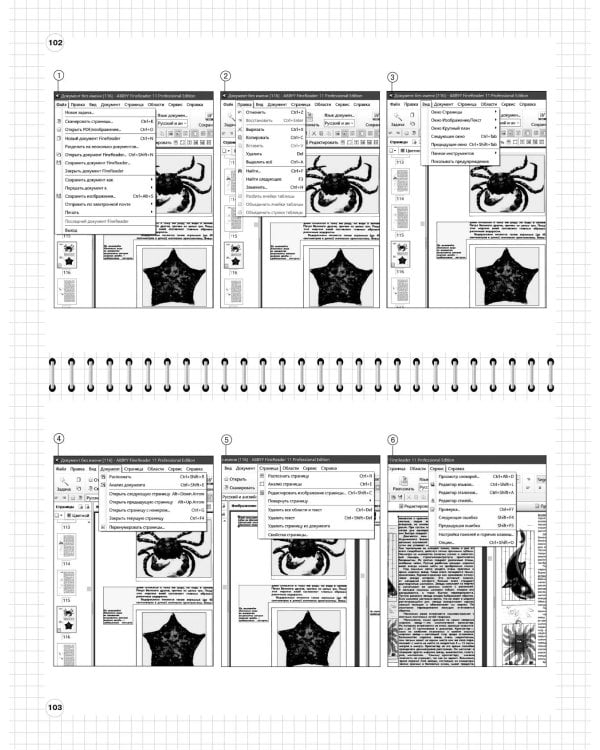 Информатика: 5-11 классы