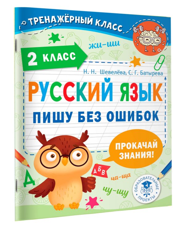 Русский язык. Пишу без ошибок. 2 класс