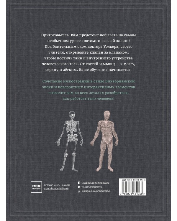Тело человека. Интерактивная книга-панорама