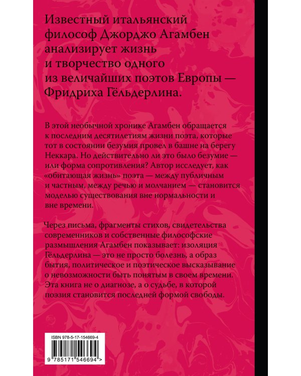 Безумие Гёльдерлина. Жизнь, поделенная надвое