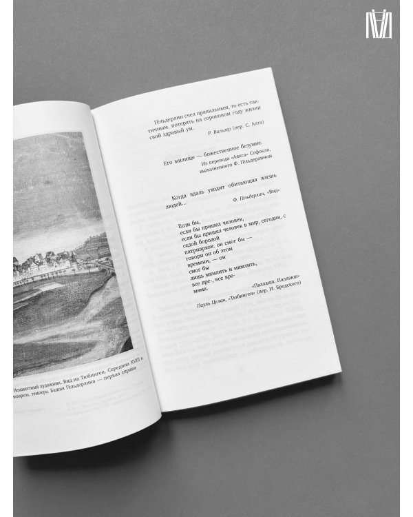 Безумие Гёльдерлина. Жизнь, поделенная надвое