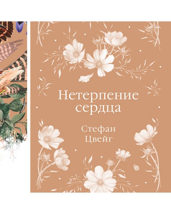 Нетерпение сердца