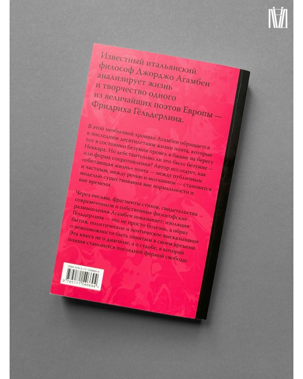 Безумие Гёльдерлина. Жизнь, поделенная надвое