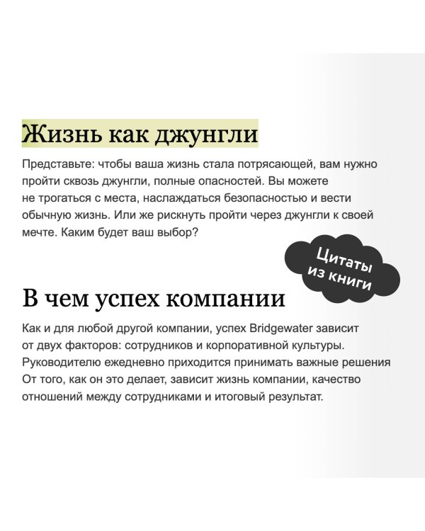 Принципы. Жизнь и работа