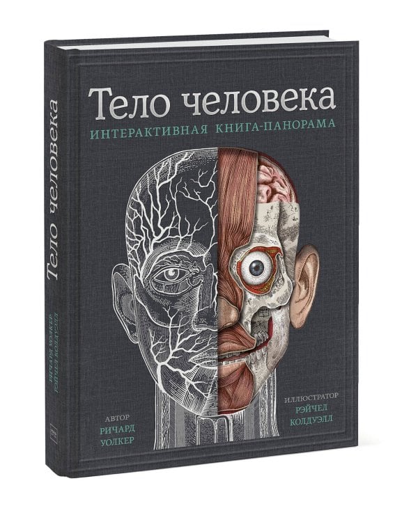 Тело человека. Интерактивная книга-панорама
