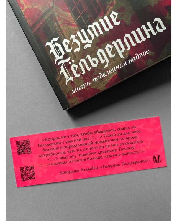 Безумие Гёльдерлина. Жизнь, поделенная надвое