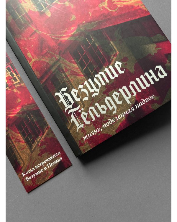 Безумие Гёльдерлина. Жизнь, поделенная надвое