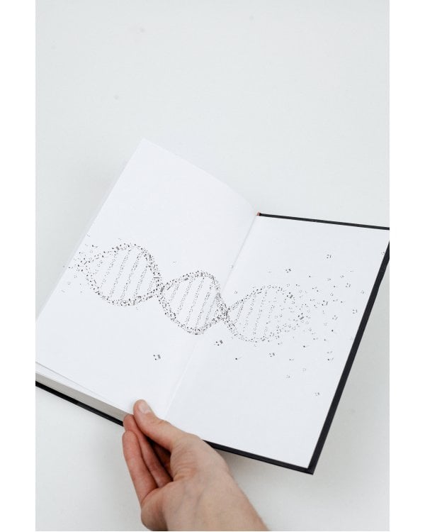 Пой. История Тома Фрая