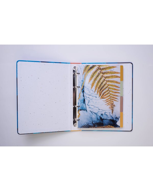 Золотой папоротник. Тетрадь на кольцах, А5, 100 л., с цветными разделителями, зол. фольга
