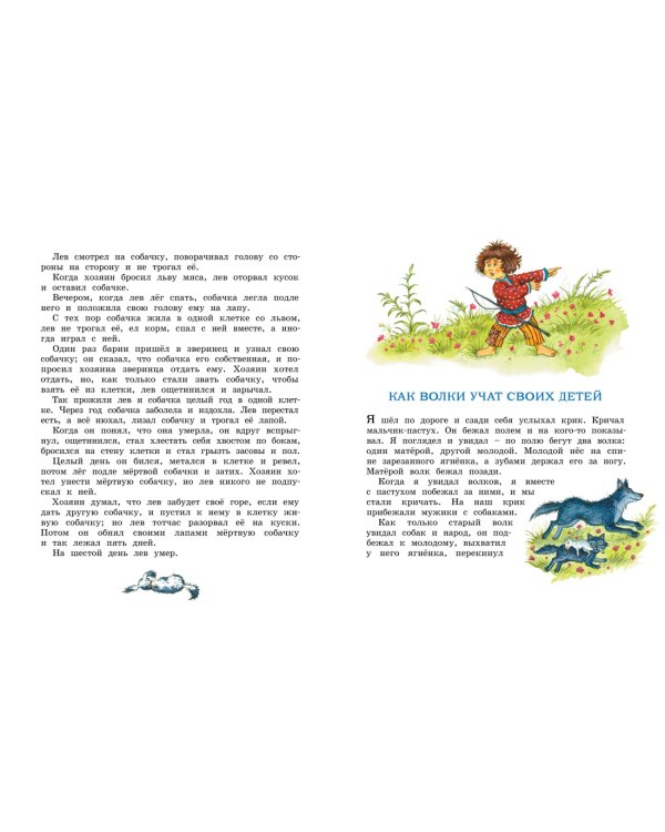 Рассказы и сказки