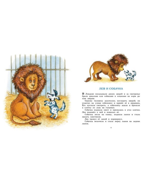 Рассказы и сказки