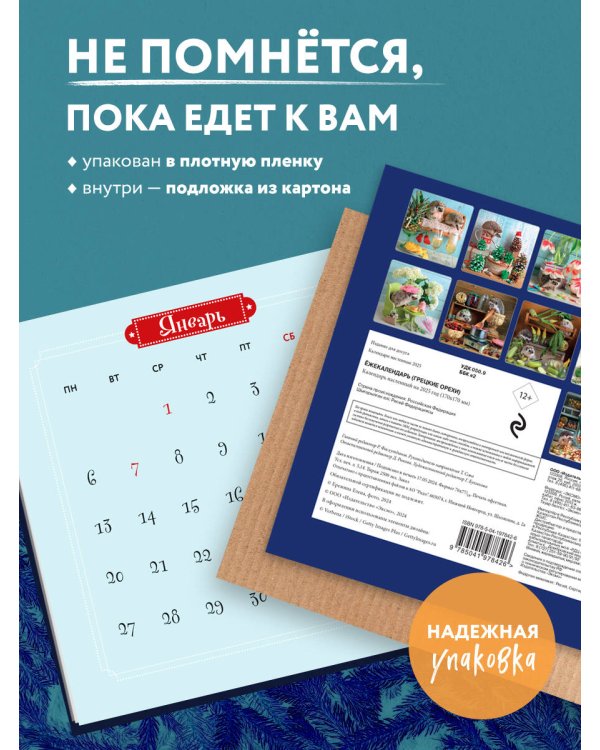 Ёжекалендарь (грецкие орехи). Календарь настенный на 2025 год (170х170 мм)
