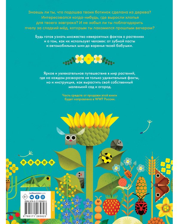 Солнечный свет на завтрак