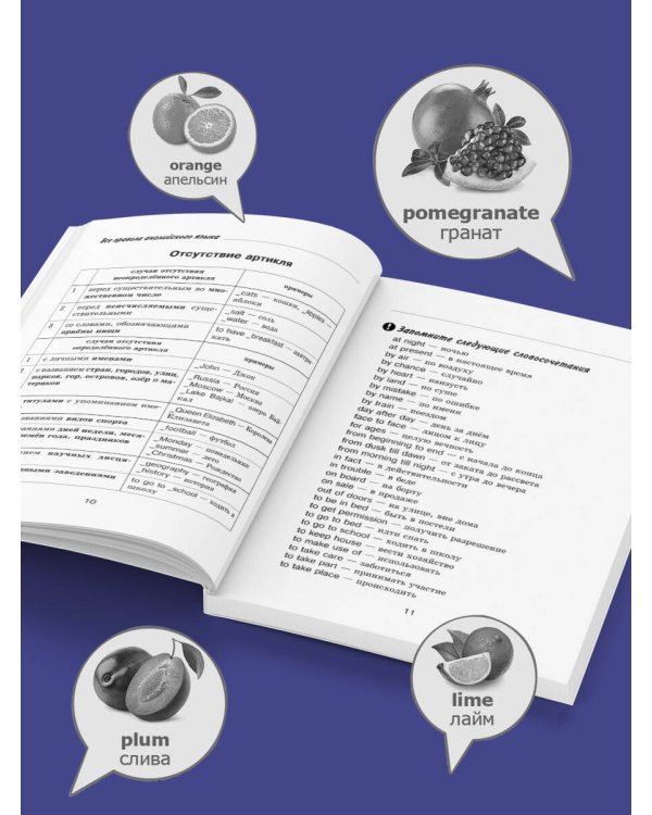 Все правила английского языка с иллюстрированным словарем