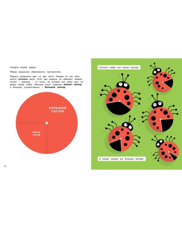 Круги и окружности