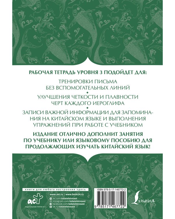 Китайский язык: тетрадь для записи иероглифов для уровня 3