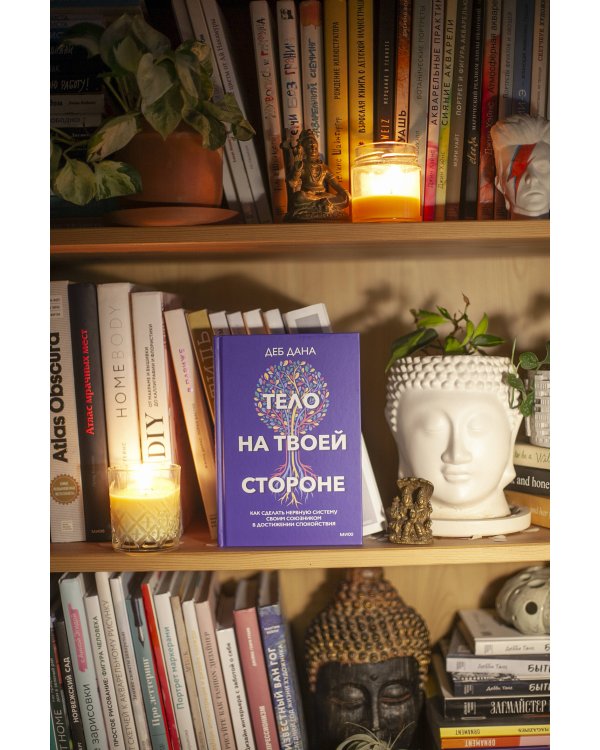 Тело на твоей стороне. Как сделать нервную систему своим союзником в достижении спокойствия