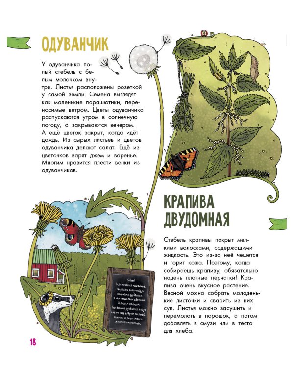 Цветы и растения