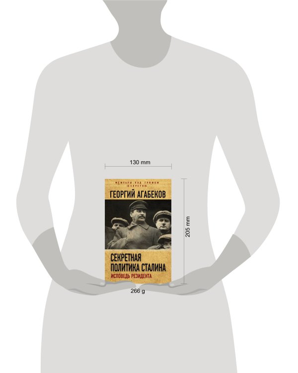 Секретная политика Сталина. Исповедь резидента