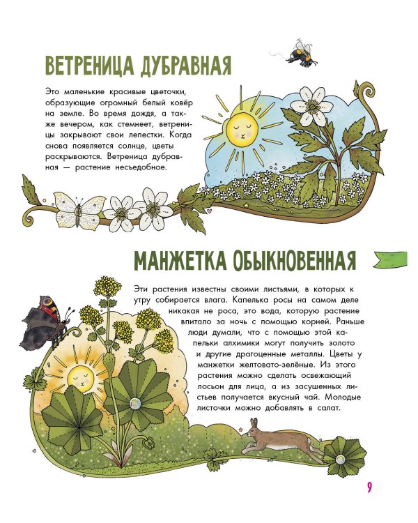 Цветы и растения