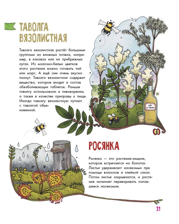 Цветы и растения