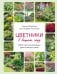 Цветники в вашем саду. Простые композиции для солнца и тени