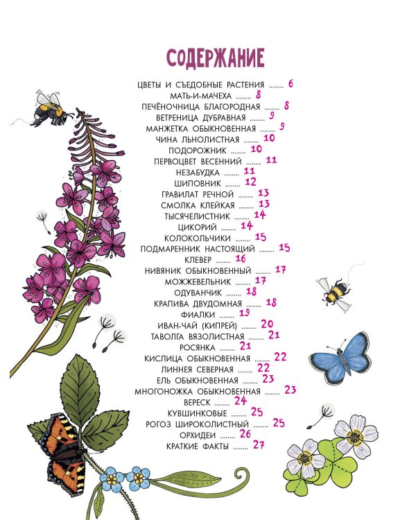 Цветы и растения