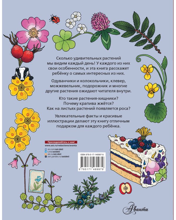 Цветы и растения