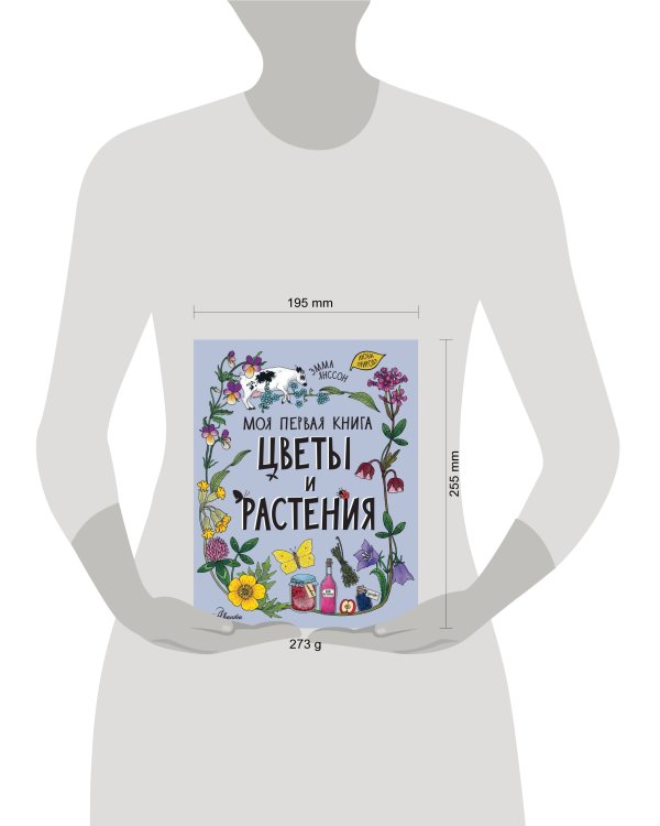 Цветы и растения