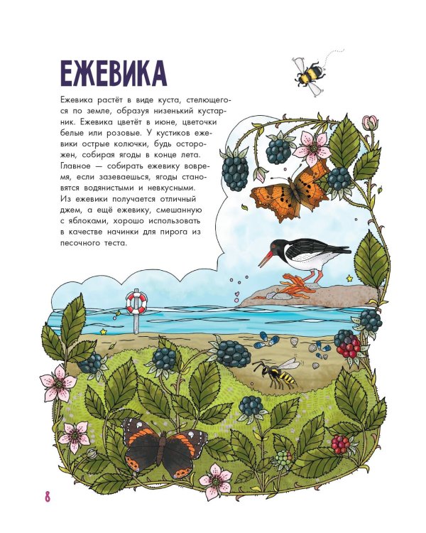 Грибы и ягоды