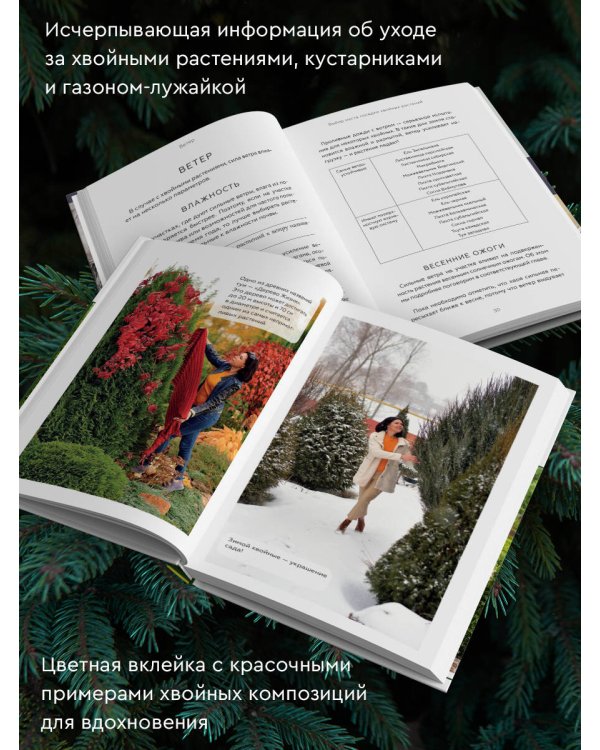 Энциклопедия хвойных растений. Вечнозелёные долгожители в вашем саду