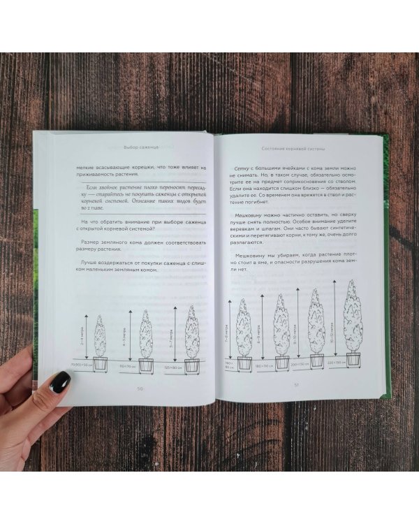 Энциклопедия хвойных растений. Вечнозелёные долгожители в вашем саду