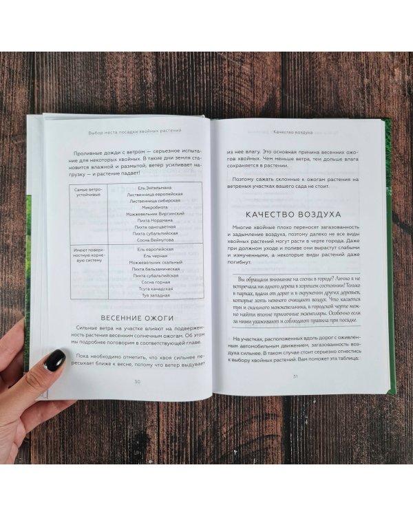 Энциклопедия хвойных растений. Вечнозелёные долгожители в вашем саду