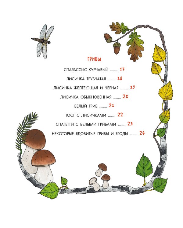 Грибы и ягоды