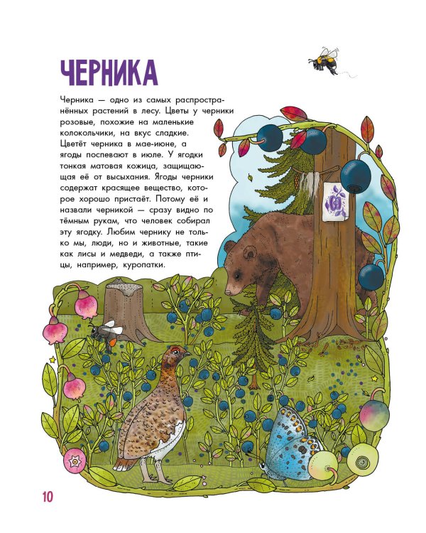 Грибы и ягоды