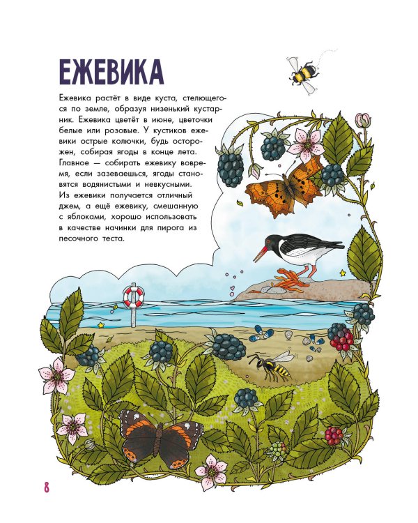 Грибы и ягоды