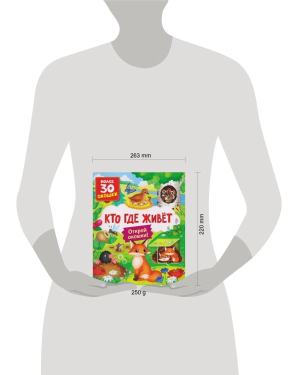 Книги с окошками. Кто где живет