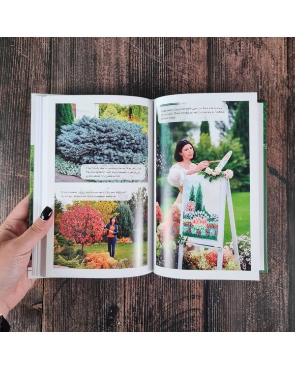 Энциклопедия хвойных растений. Вечнозелёные долгожители в вашем саду