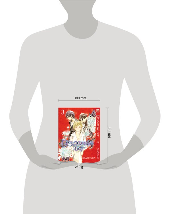 Бездомный бог т3/Noragami Vol 3