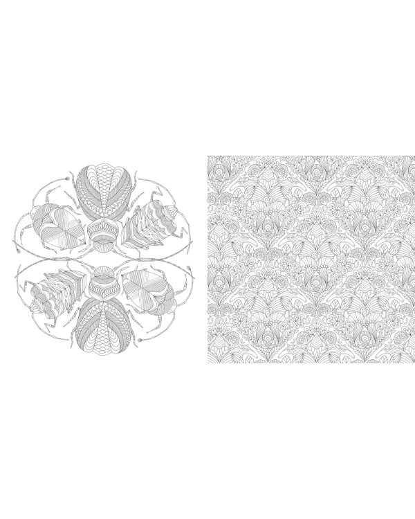 Божественные создания. Золотая коллекция любимых иллюстраций