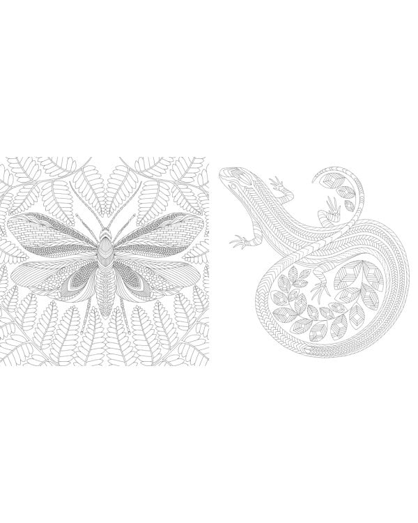 Божественные создания. Золотая коллекция любимых иллюстраций