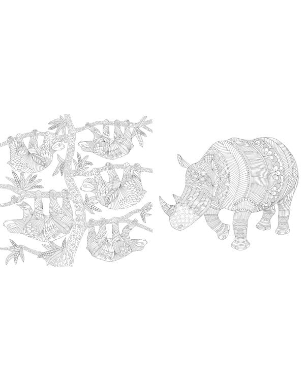 Божественные создания. Золотая коллекция любимых иллюстраций