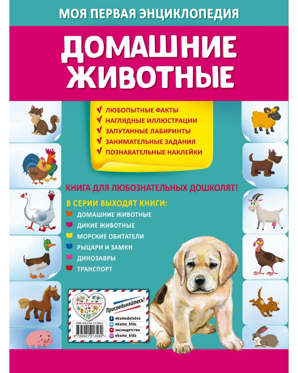 Домашние животные