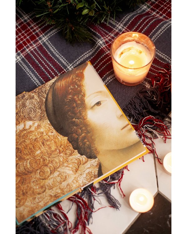 Леонардо да Винчи и его Вселенная