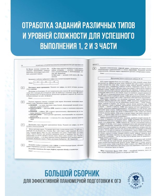 ОГЭ-2025. Русский язык. 40 тренировочных вариантов экзаменационных работ для подготовки к основному государственному экзамену