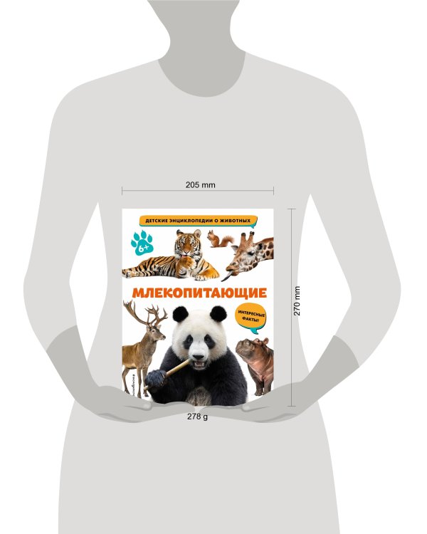 Млекопитающие