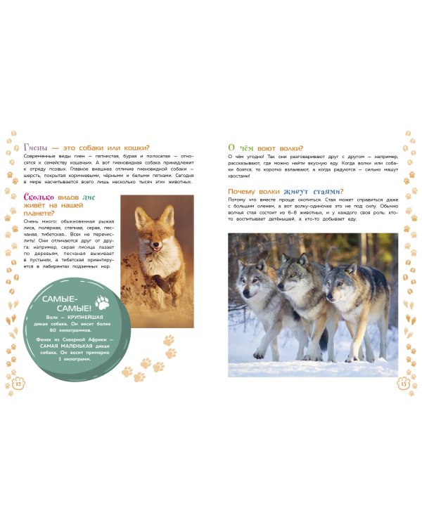 Млекопитающие