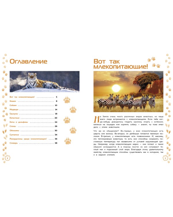 Млекопитающие