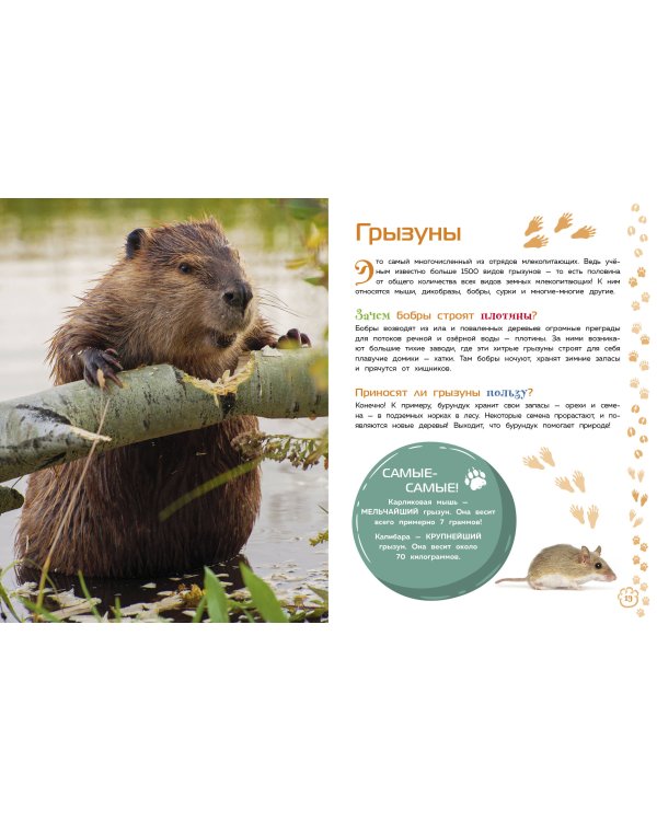 Млекопитающие